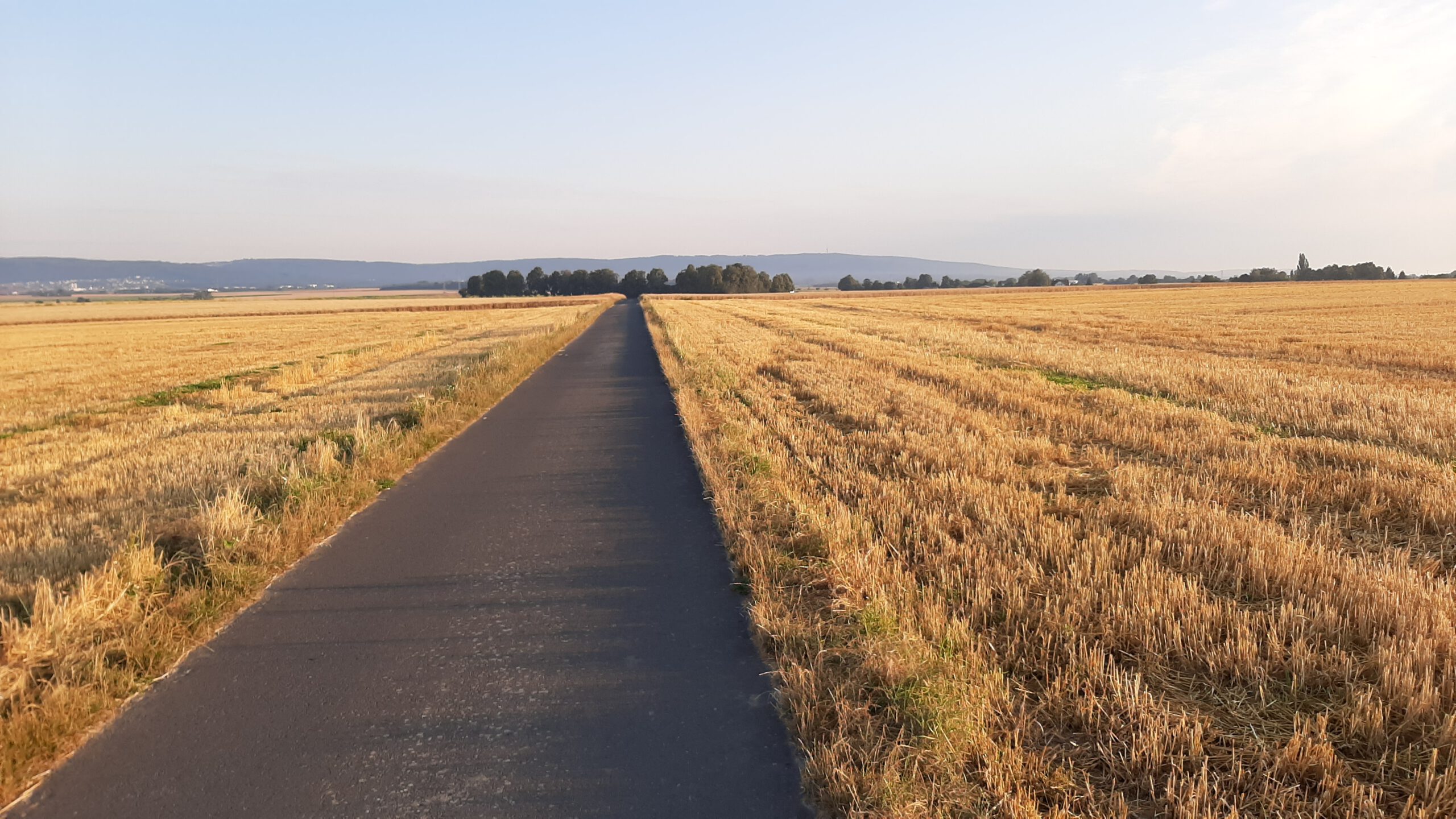 Ein Weg durch eine weite Landschaft